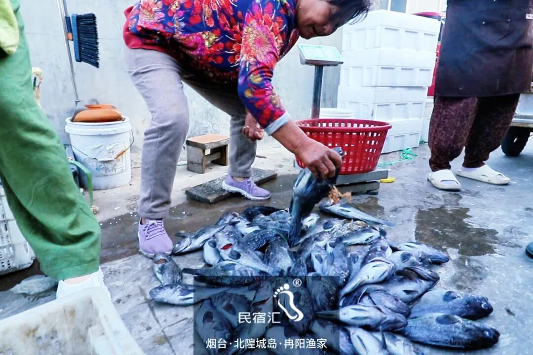 蓬莱旅游攻略北隍城岛民宿冉阳渔家体验海钓卖钱看日落-民宿汇